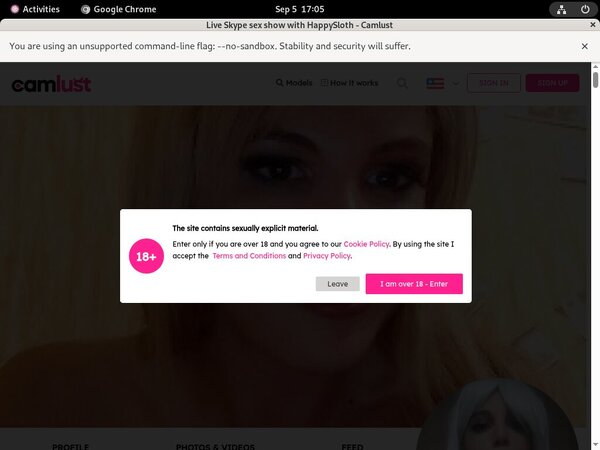 Camlust.com Accounts And Passwords