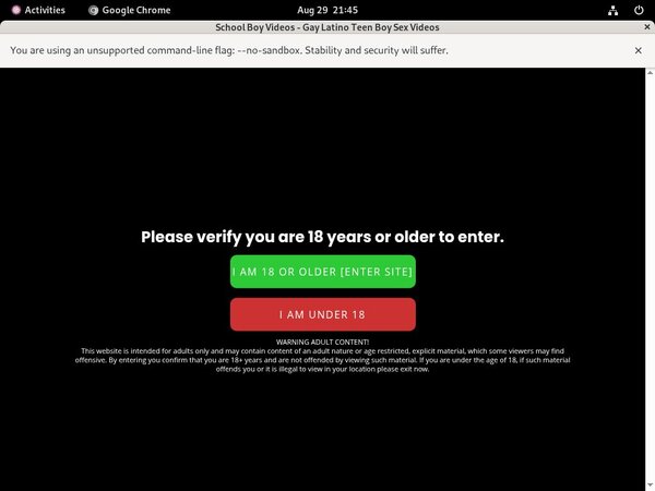 Free Logins For Schoolboyvideos