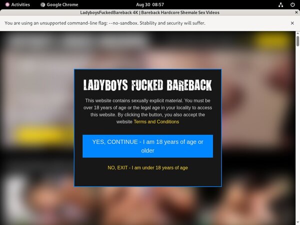 Free Password To Ladyboys Fucked Bareback