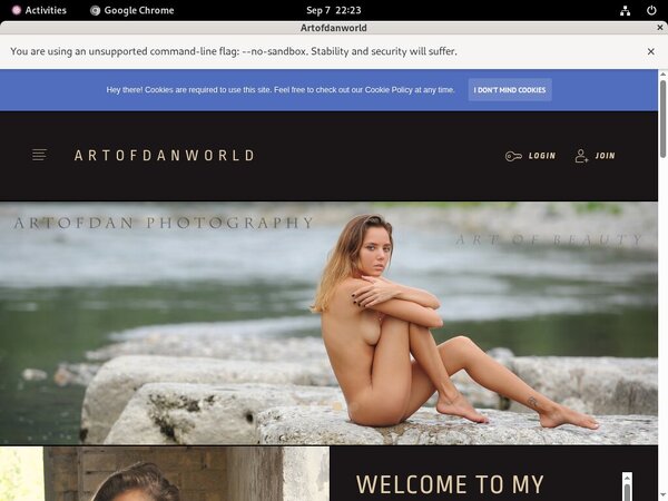 Get Into Artofdanworld.com Free