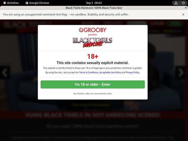 How To Get Into Blacktgirlshardcore.com Free