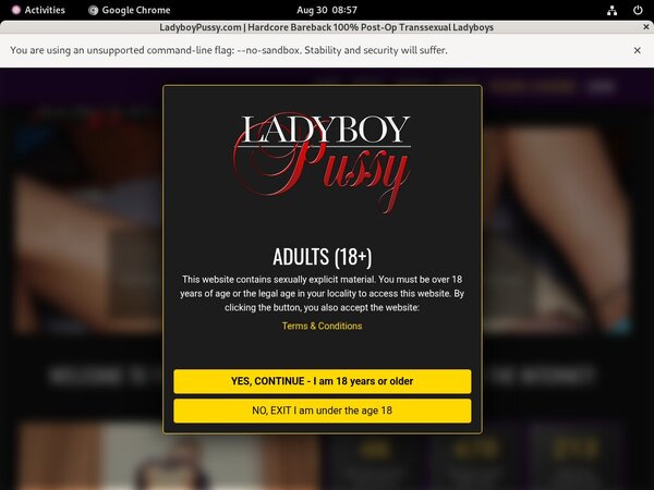 Ladyboy Pussy Subscription Ladyboy Pussy Subscription