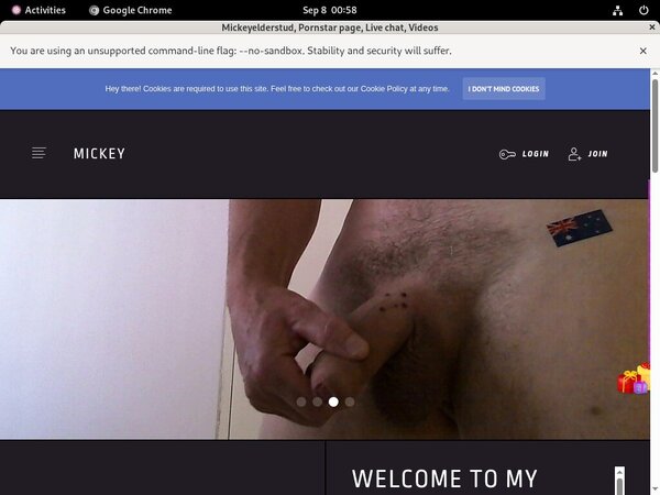 Mickeyelderstud.modelcentro.com Avec IBAN / SEPA