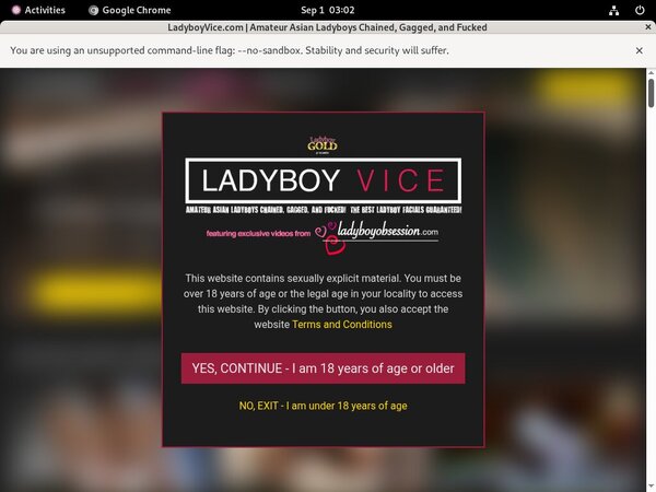 New Ladyboyvice.com Discount
