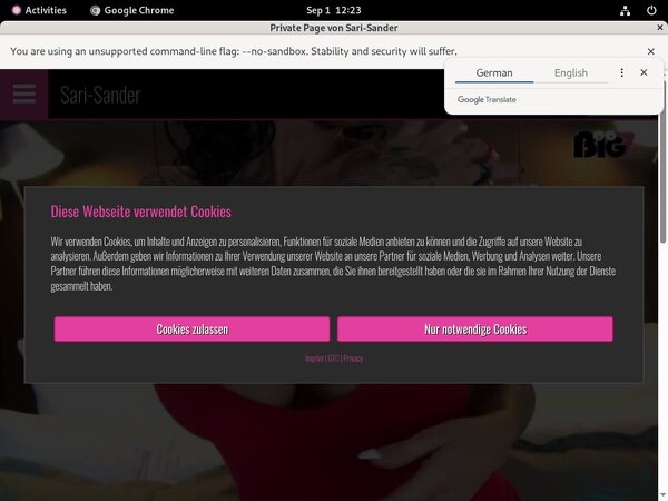 Sari-sander.com One Year Sari-sander.com One Year