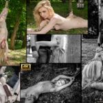 Subspace Land Freebies