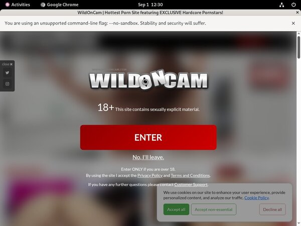 Wild On Cam Account Logins