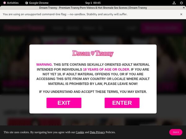 [Image: X-Videos-Dreamtranny.jpg]